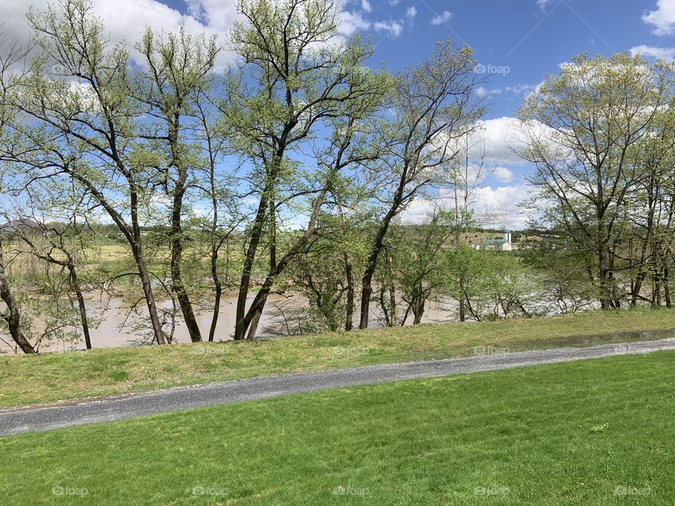 Shenandoah River view