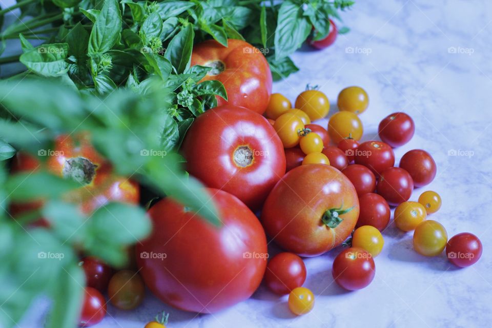 Basil Tomato Still Life 