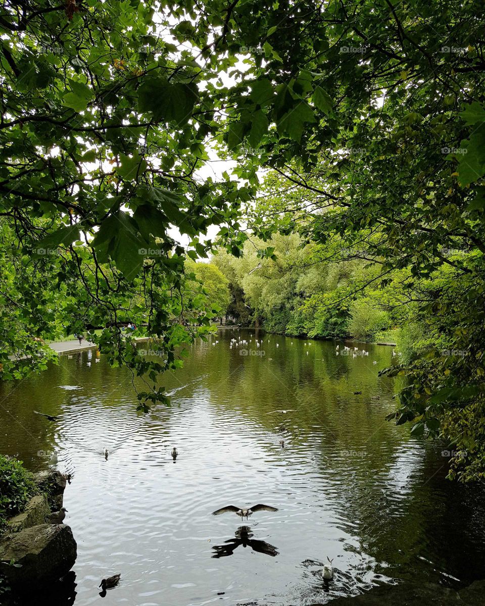 parque, park,  travel
