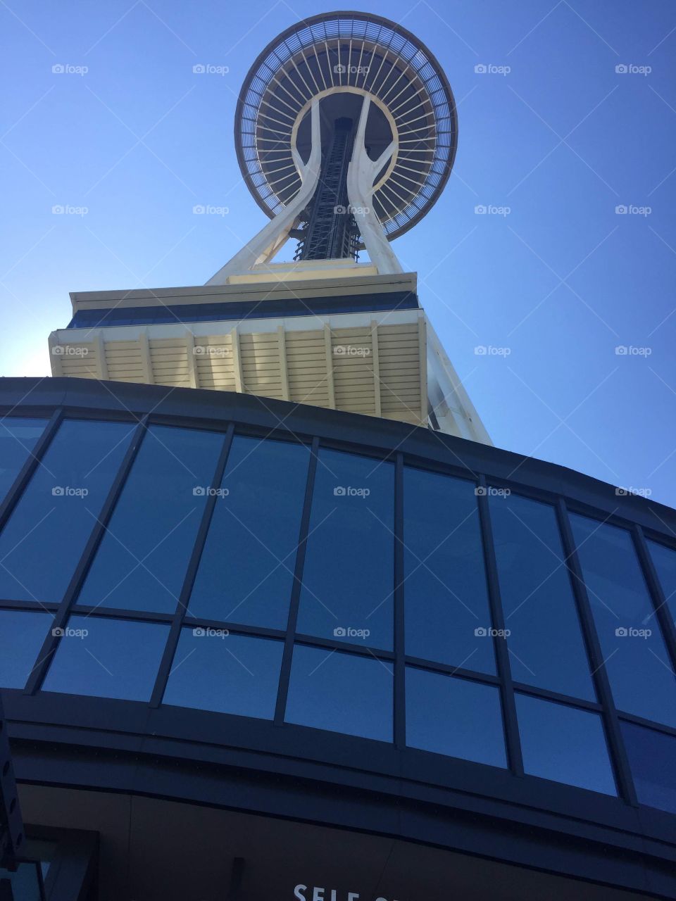 A Look From Below: Space Needle, Seattle, WA