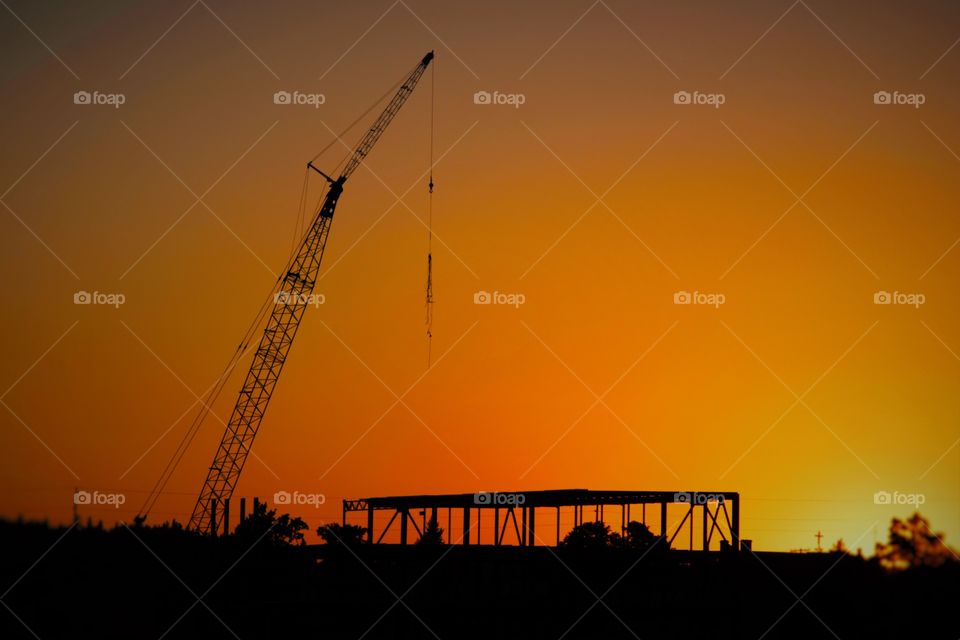 Silhouette of crane during sunset