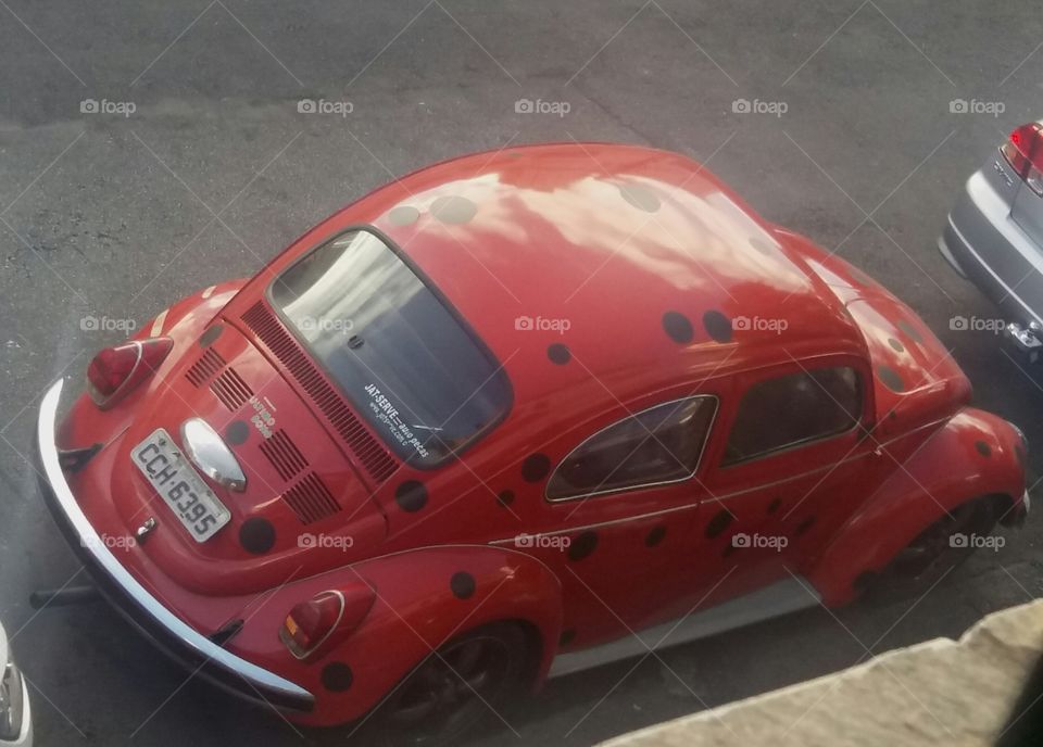 Red fusca with polka dots