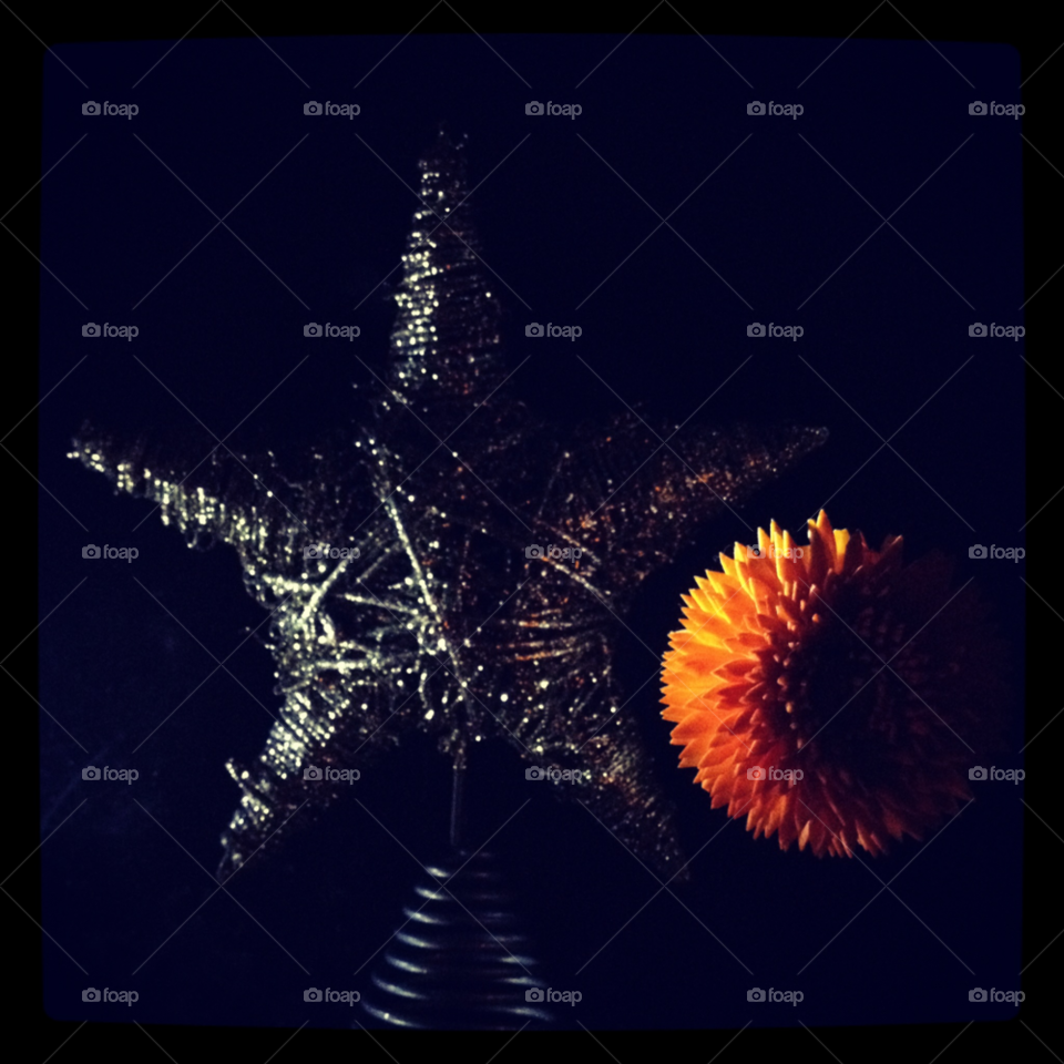 flower star moon sparkle by darkmatter