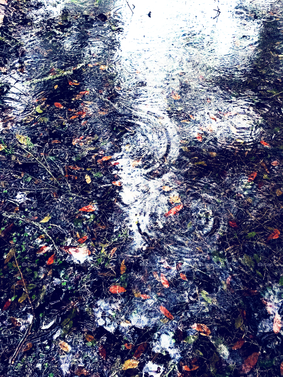 Raindrops on puddles 