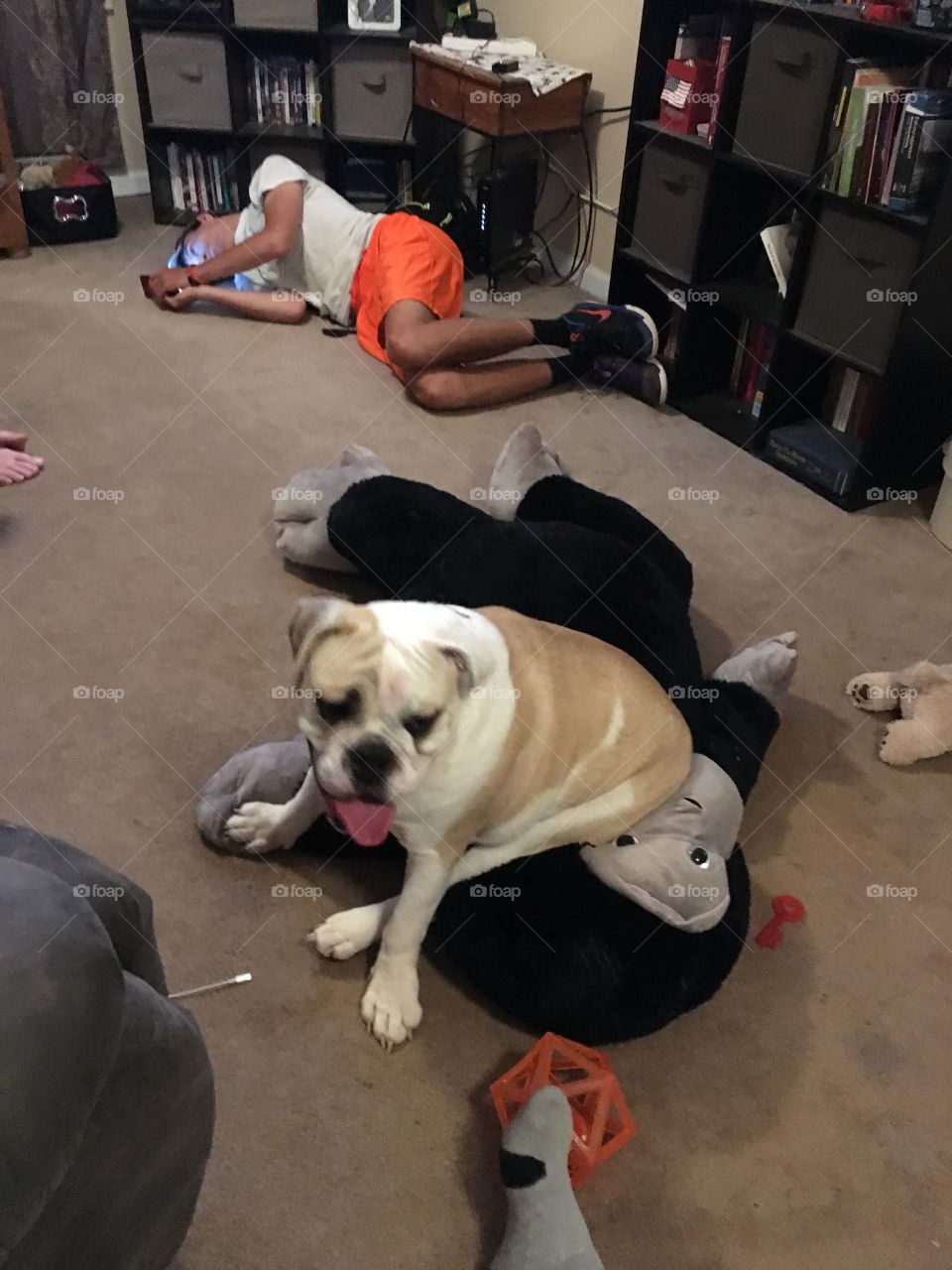 What? This is a very comfortable seat! Lol