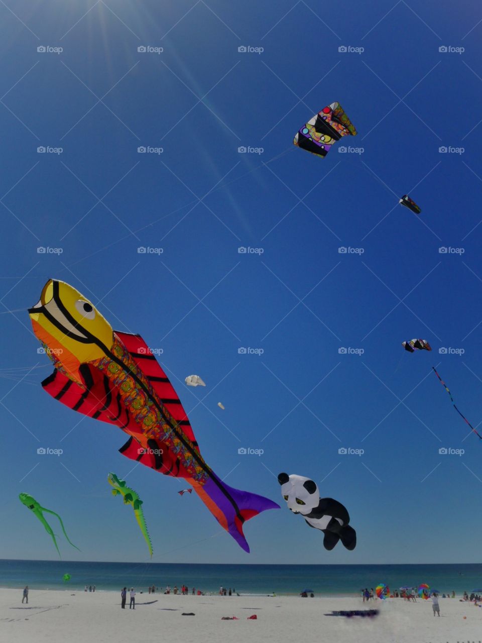 Kites