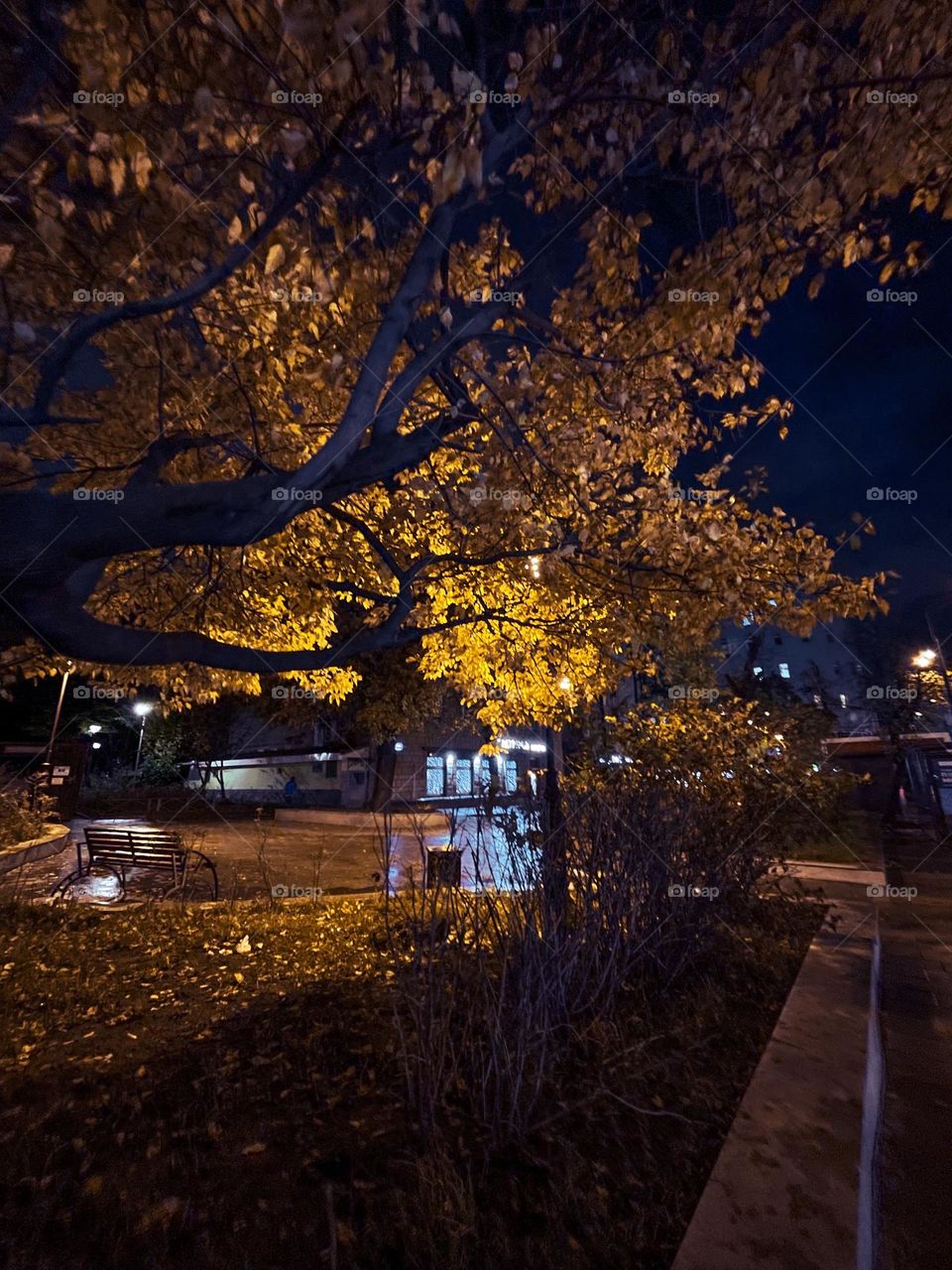 Night street photo