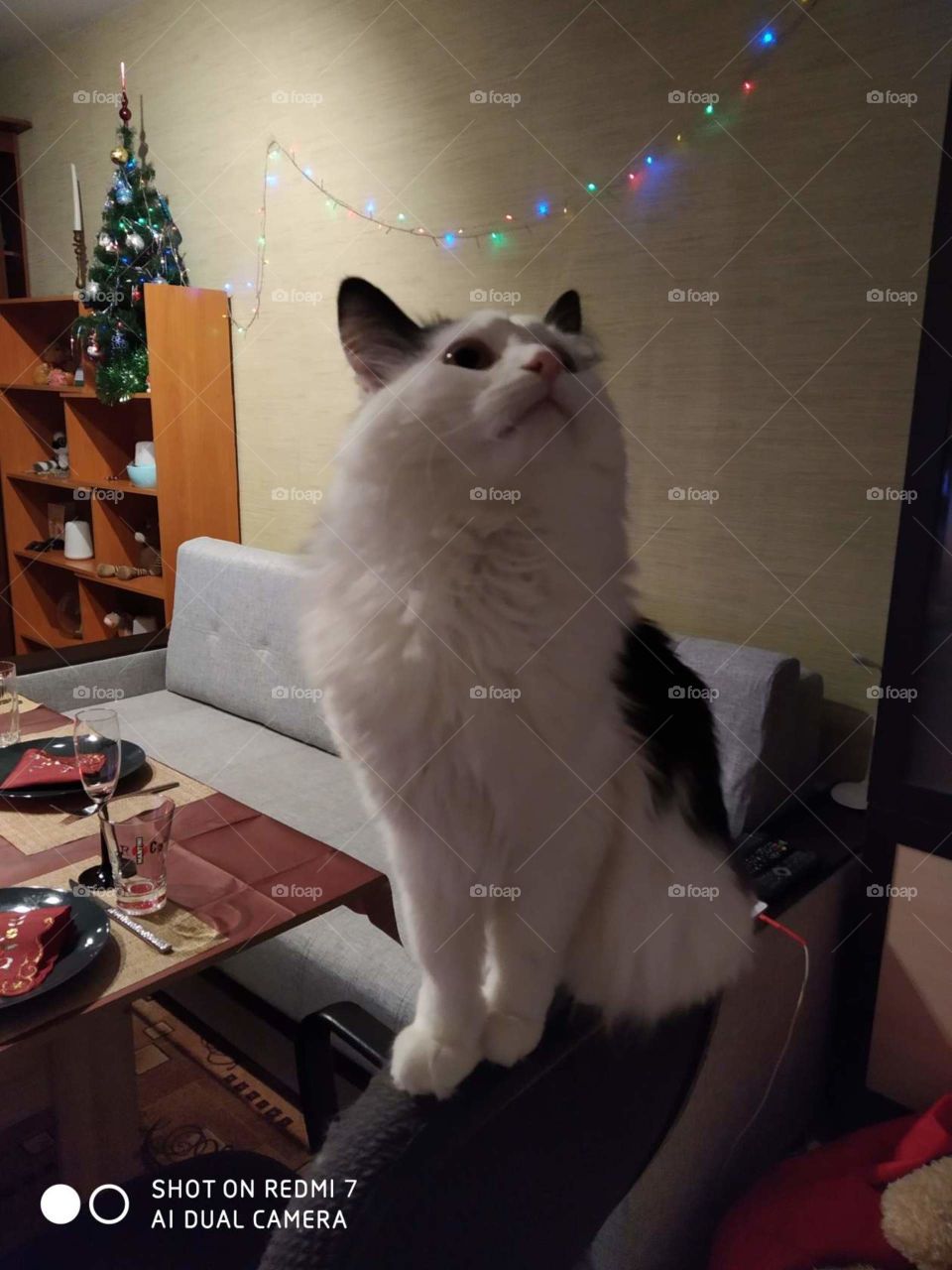 Чувствую приближение Нового года.