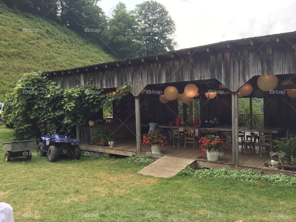 Blueberry picking farm . Vacation at North Carolina 