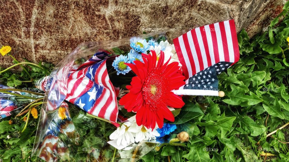 Honoring our veterans