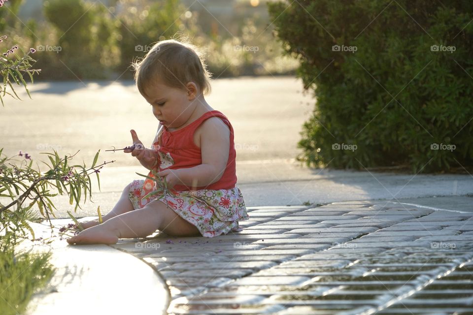 Little Girl Outdoors During Golden Hour