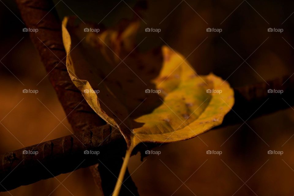 Shadows and light meeting in this photo.