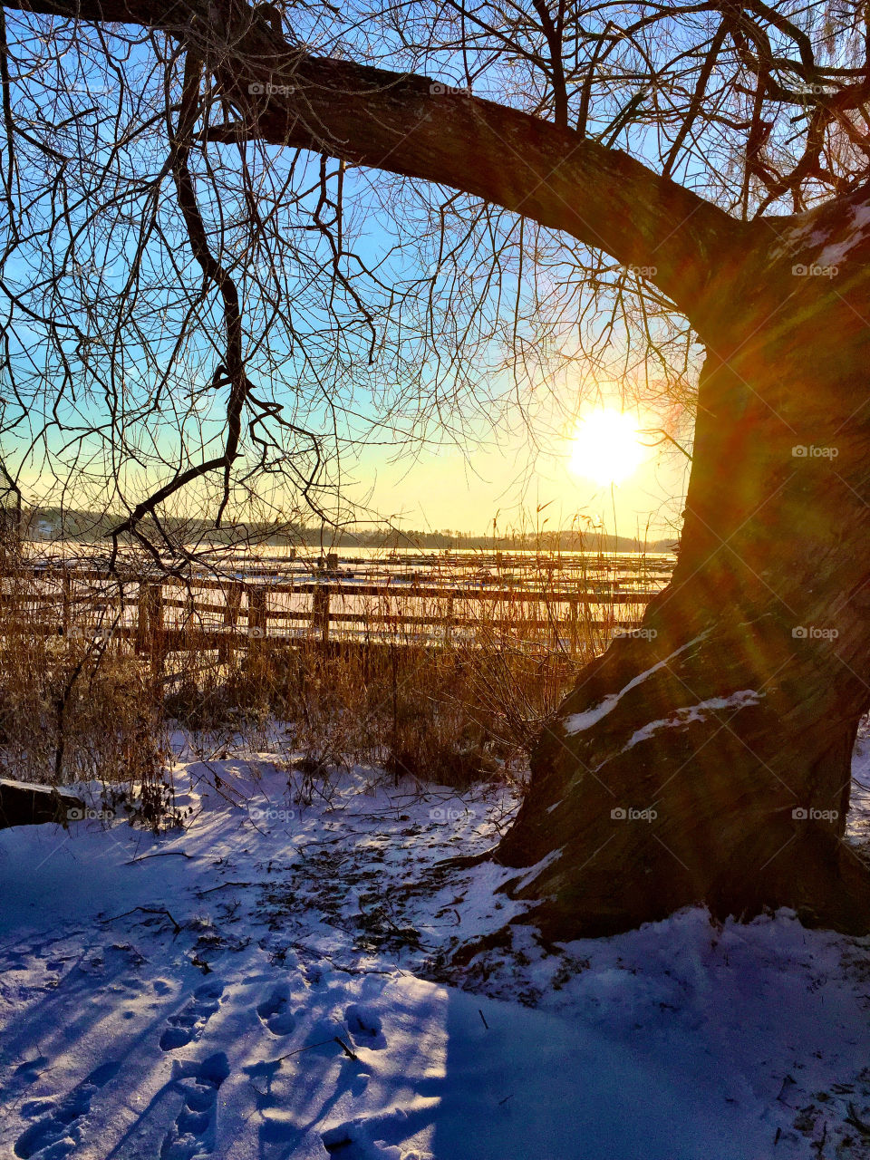 Winter landscape! 