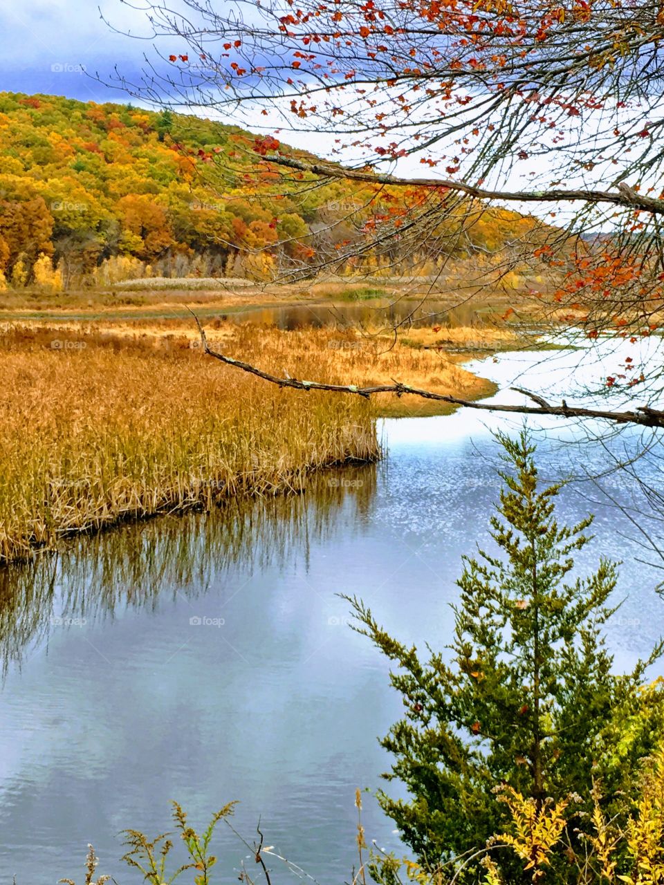 "Silver Reflections" at The Blackstone River Canal in Uxbridge, MA USA, during Autumn season. The forested hillside boasts lush colorful foliage. Overcast sky. 