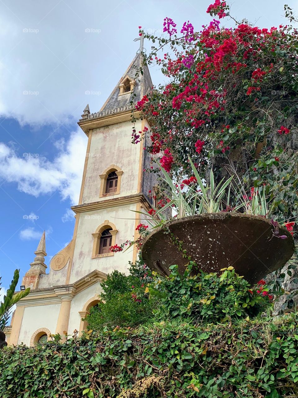 Wall in front of church overgrown with plants