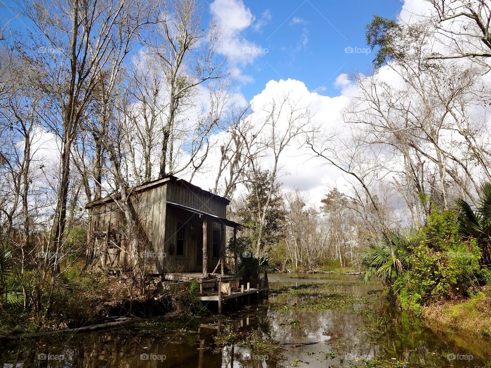 Bayou in New Orleans 