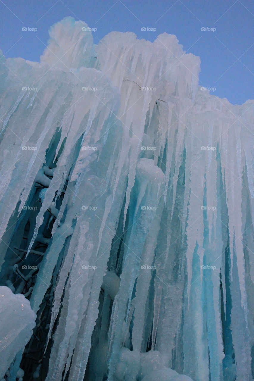 Ice Tree
