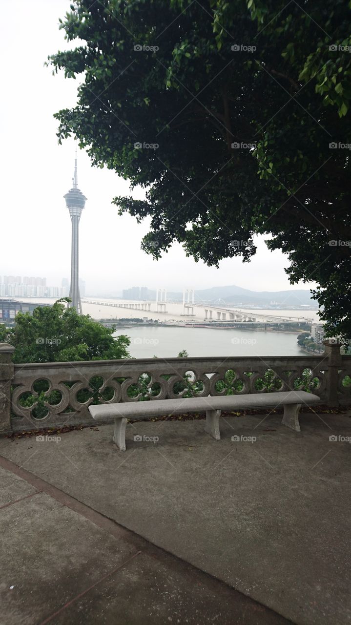 concrete chair, and green balete tree, below is namvan lake, accross is the highest bungy in the world, Macau tower, and the bridge link ti Cotai City, whereyou can find the biggest casino