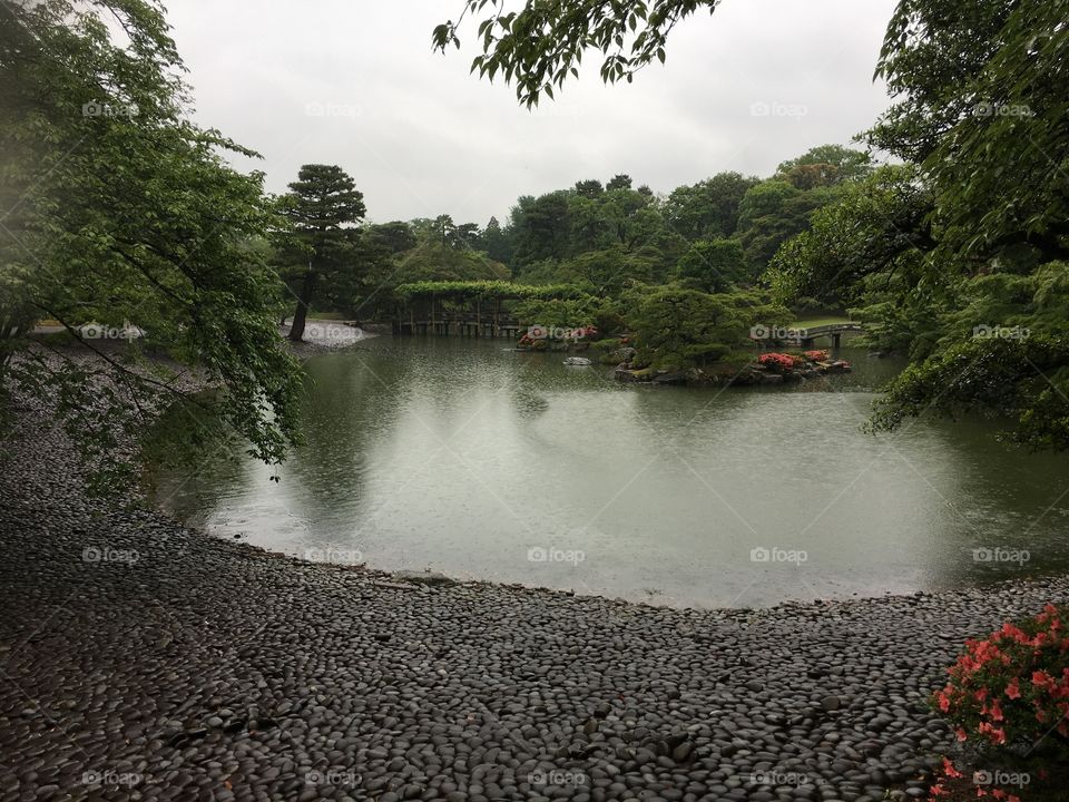 Water, River, No Person, Landscape, Tree