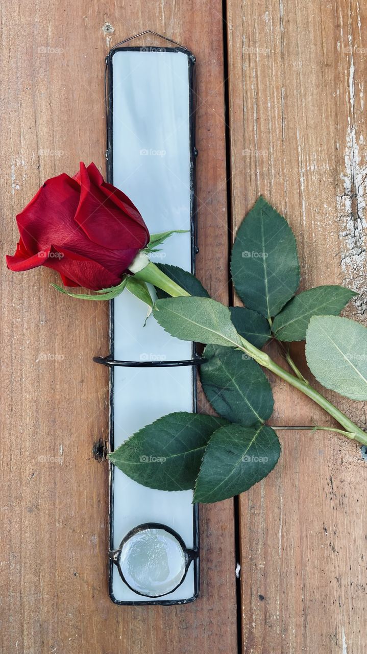 Texture is everything. From the petals of a flower, to a piece of wood, to leaded glass.