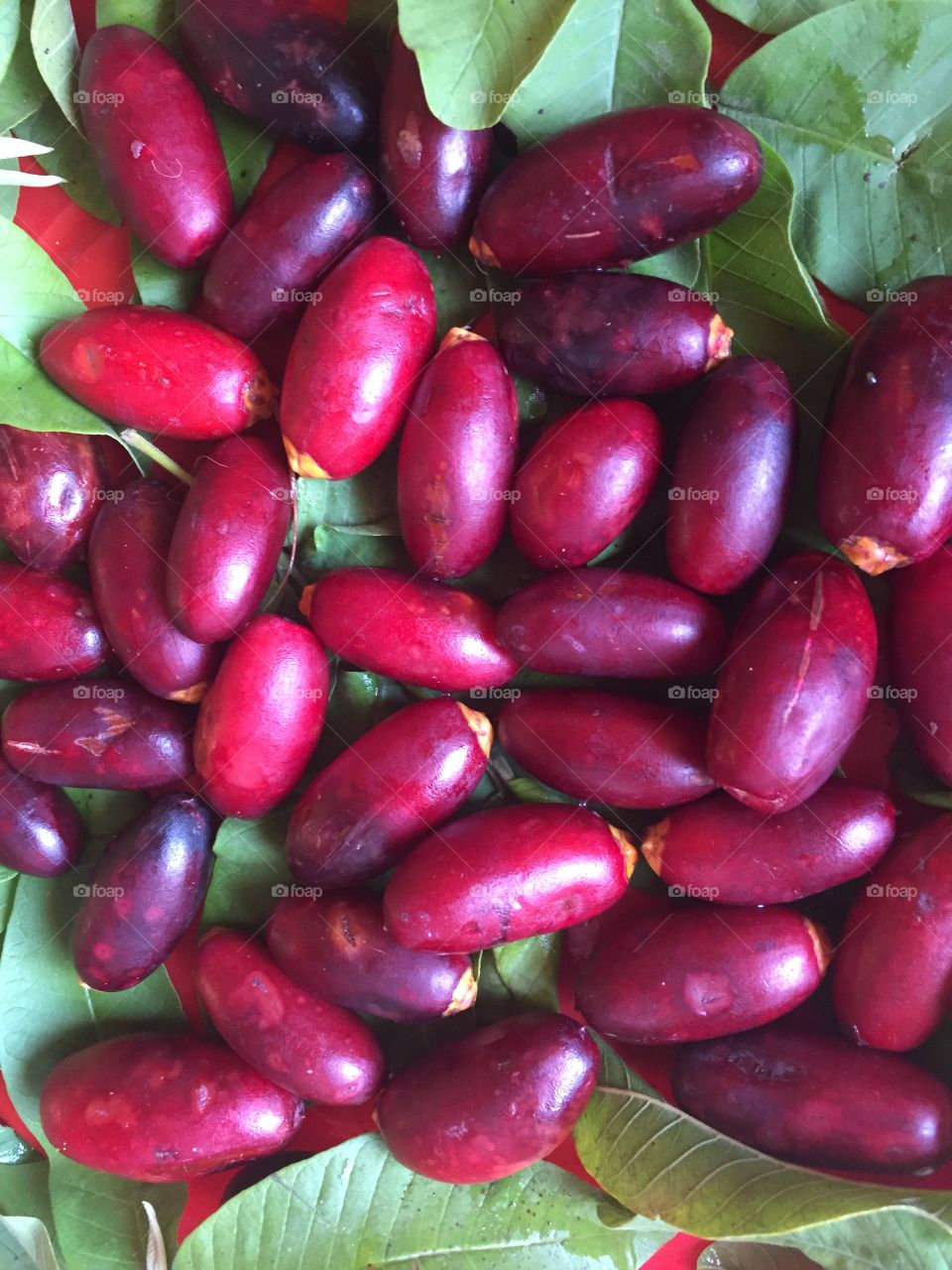 red dates with green leaves