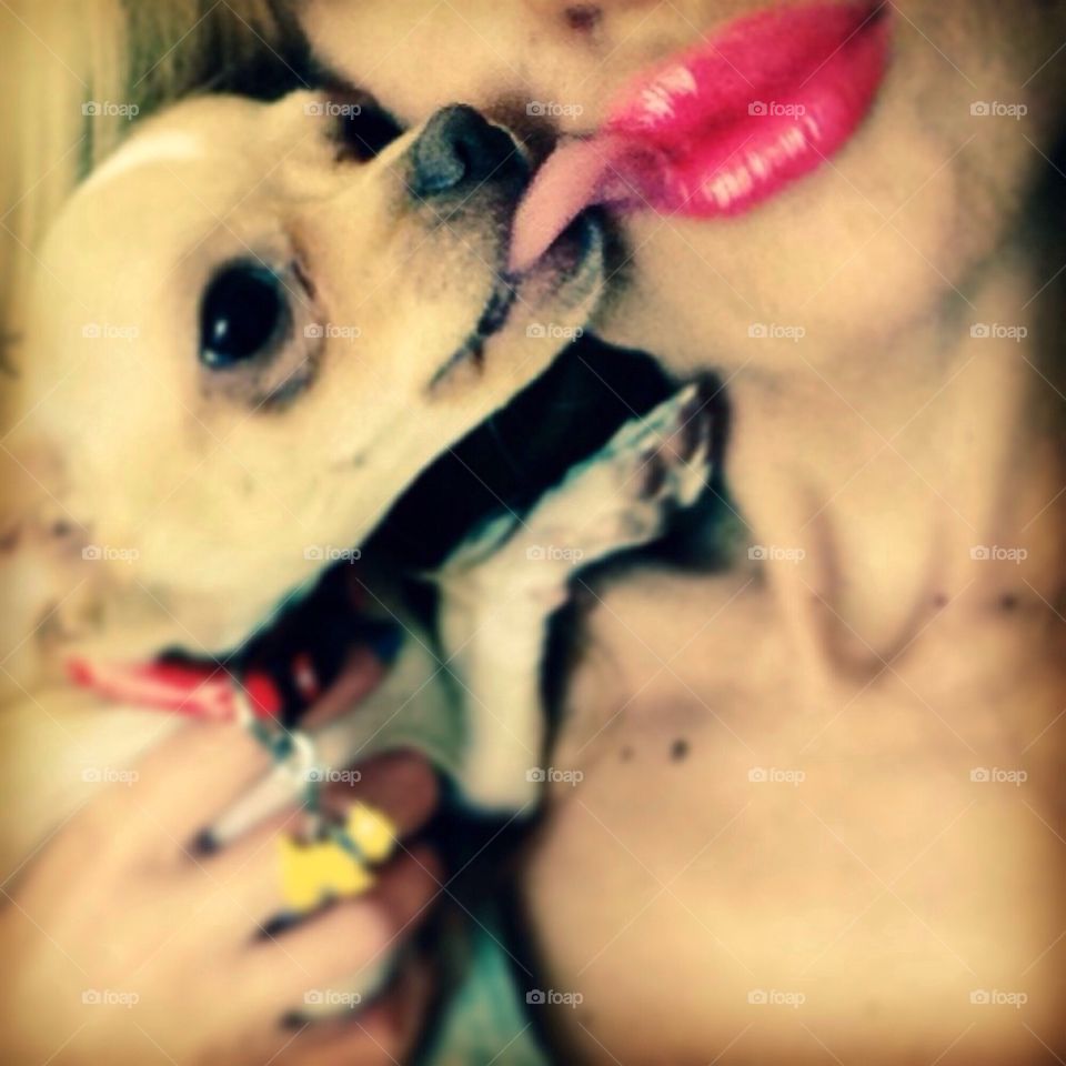 dog red lipstick tongue by severina1