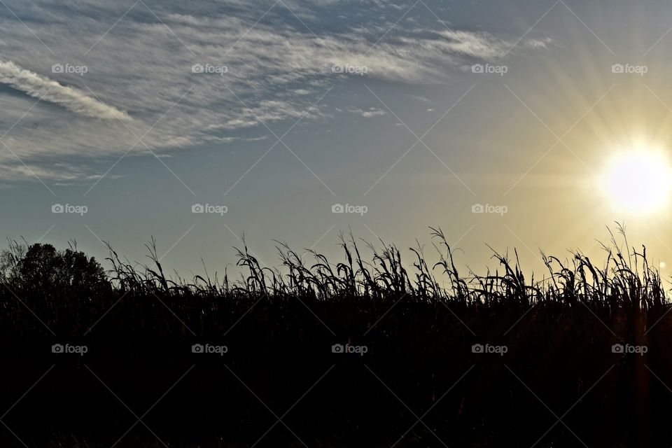 Amish Country Sunset