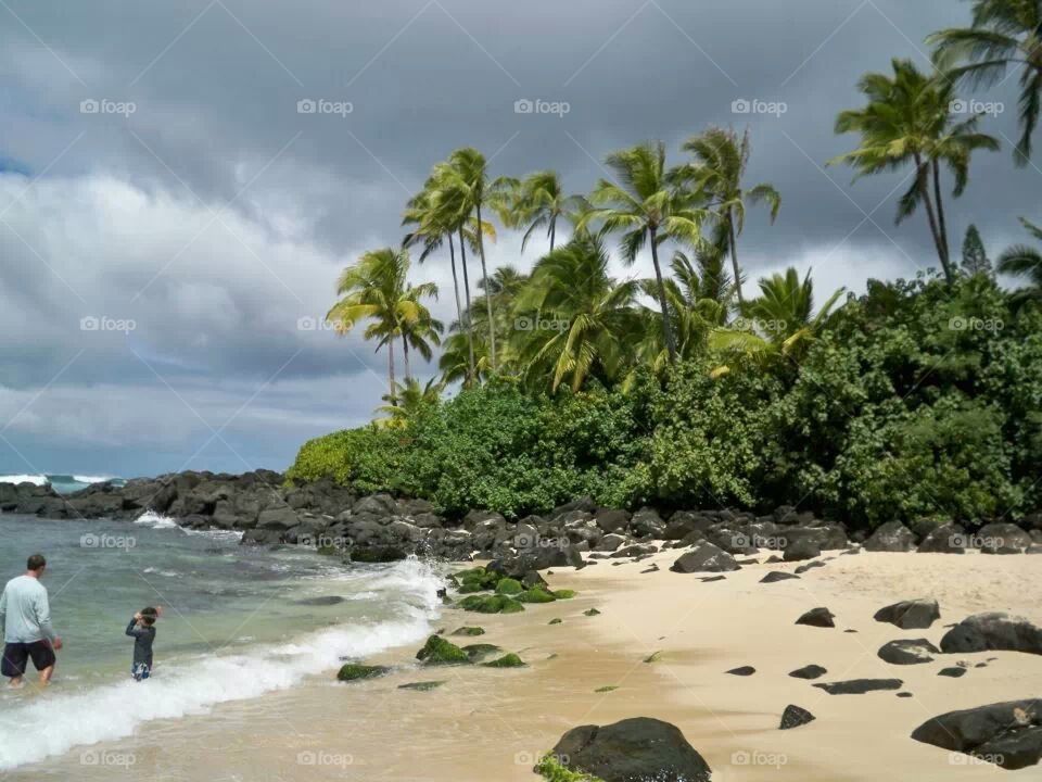 Paradise in hawaii