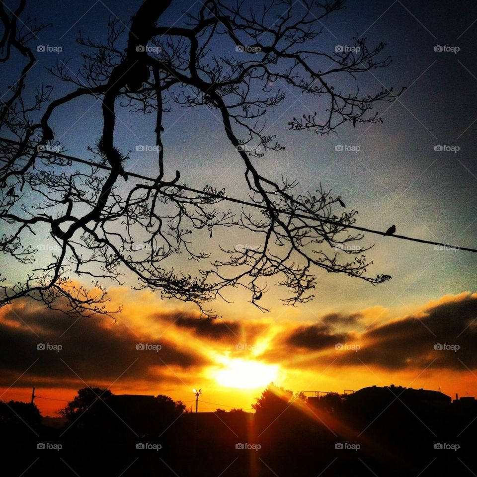 🌅Desperte, Jundiaí. 
Que a jornada diária possa valer a pena!
🍃
#sol #sun #sky #céu #photo #nature #morning #alvorada #natureza #horizonte #fotografia #pictureoftheday #paisagem #inspiração #amanhecer #mobgraphy #mobgrafia #Jundiaí #AmoJundiaí