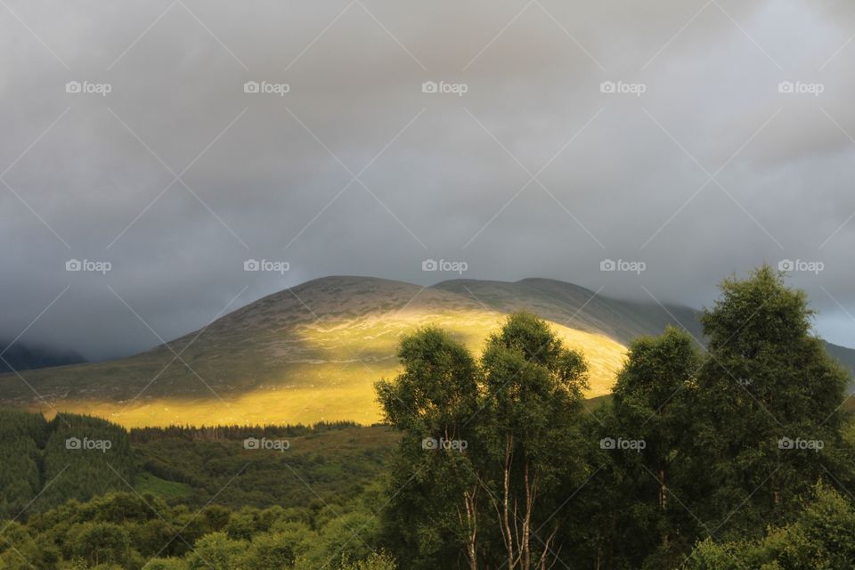 Landscape, Mountain, Fog, Tree, Nature