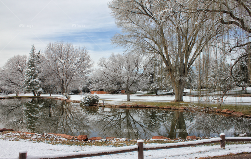 frosty wintertime brisk snow by stevehardley7