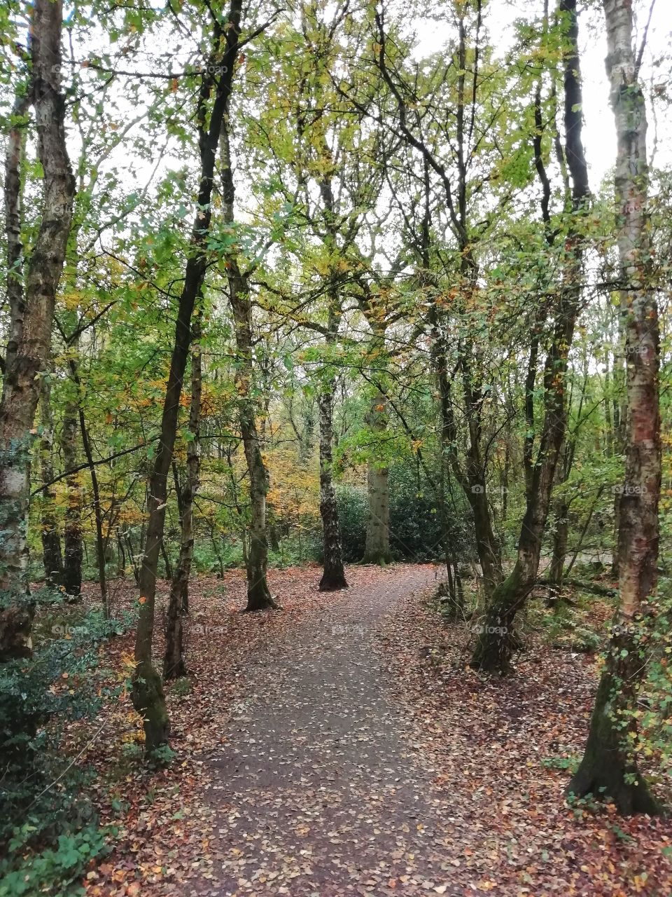 Autumn walk, Brereton Heath Nature Reserve