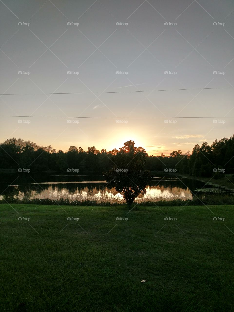 sunset, pond