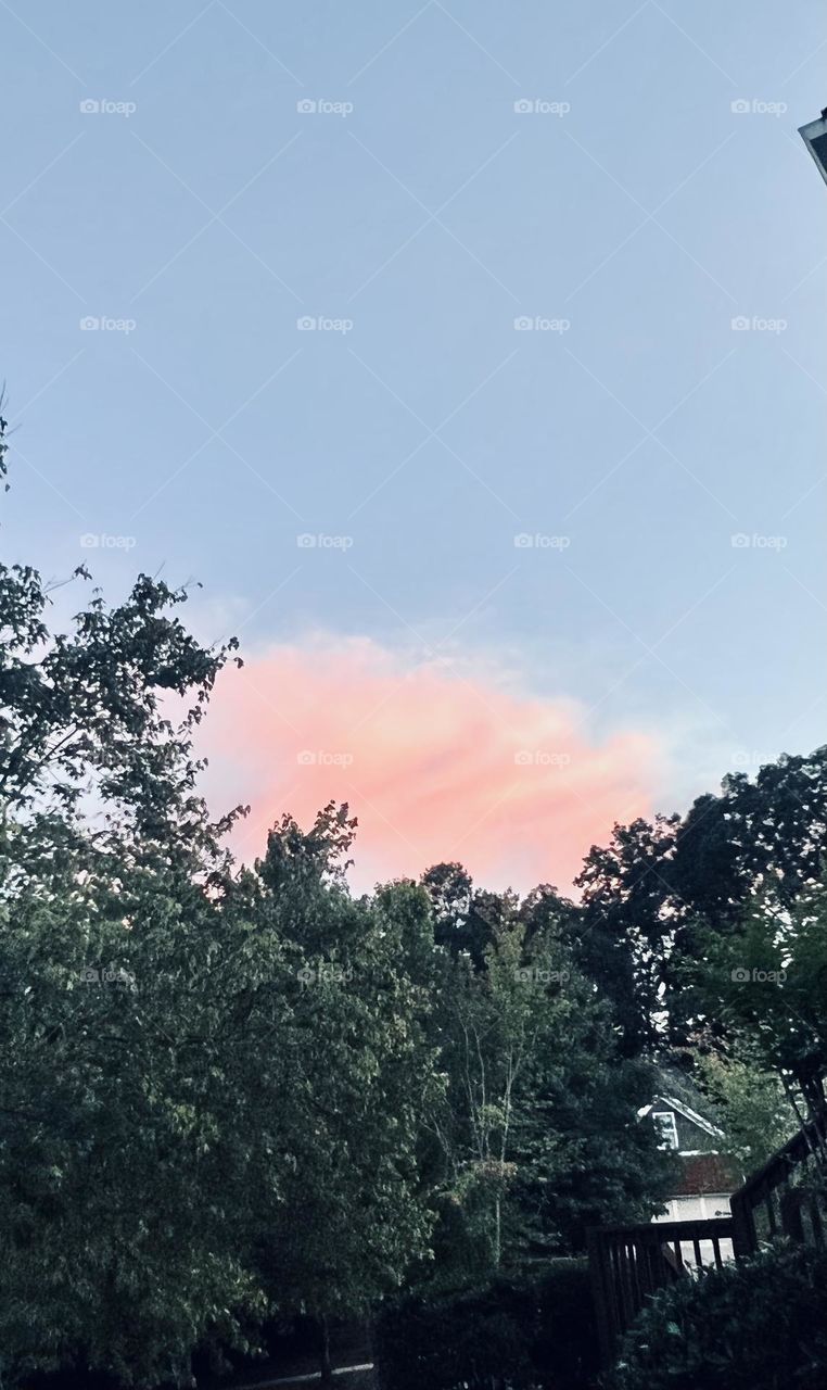 Pink skies during a sunset 