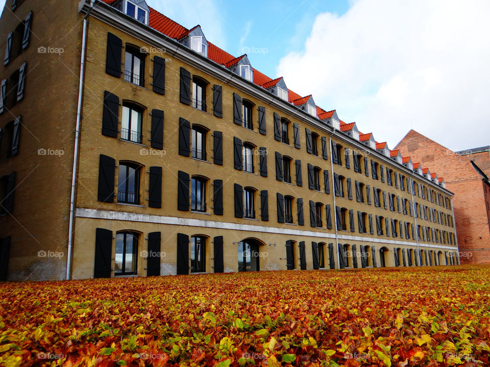 windows fall autumn building by kshapley