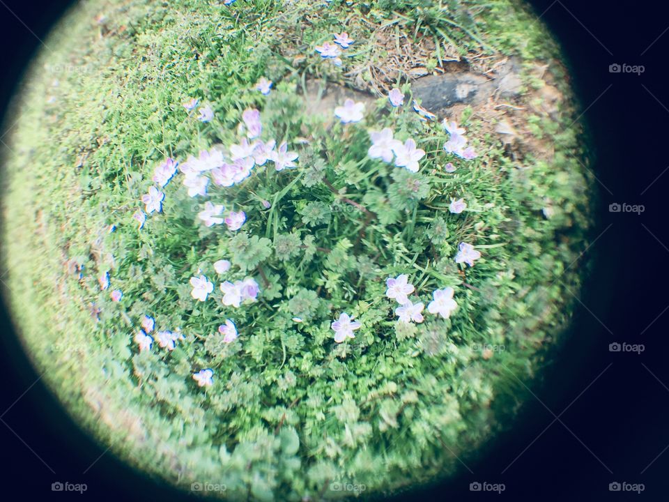 This makes me happy to me it’s a sign of spring! Spring is the time that life comes alive again.