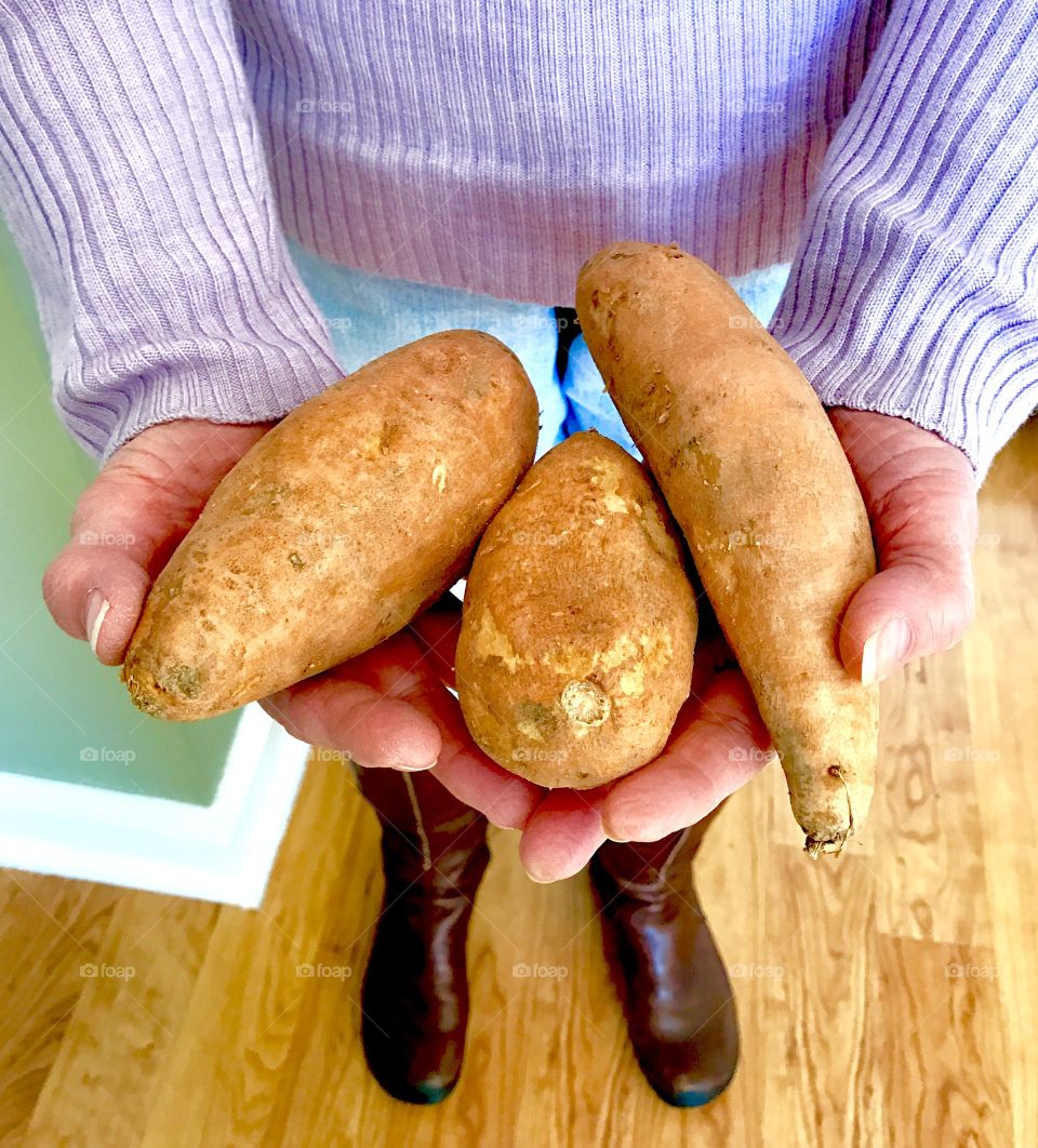 Sweet Potatoes in Hands