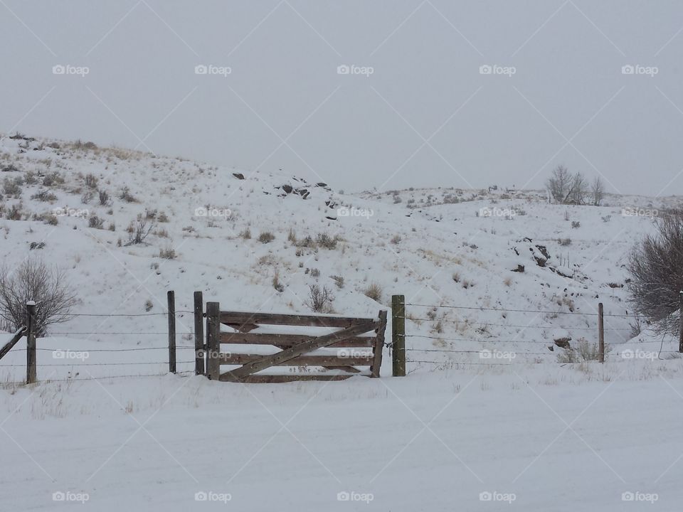 Gates open grounds frozen