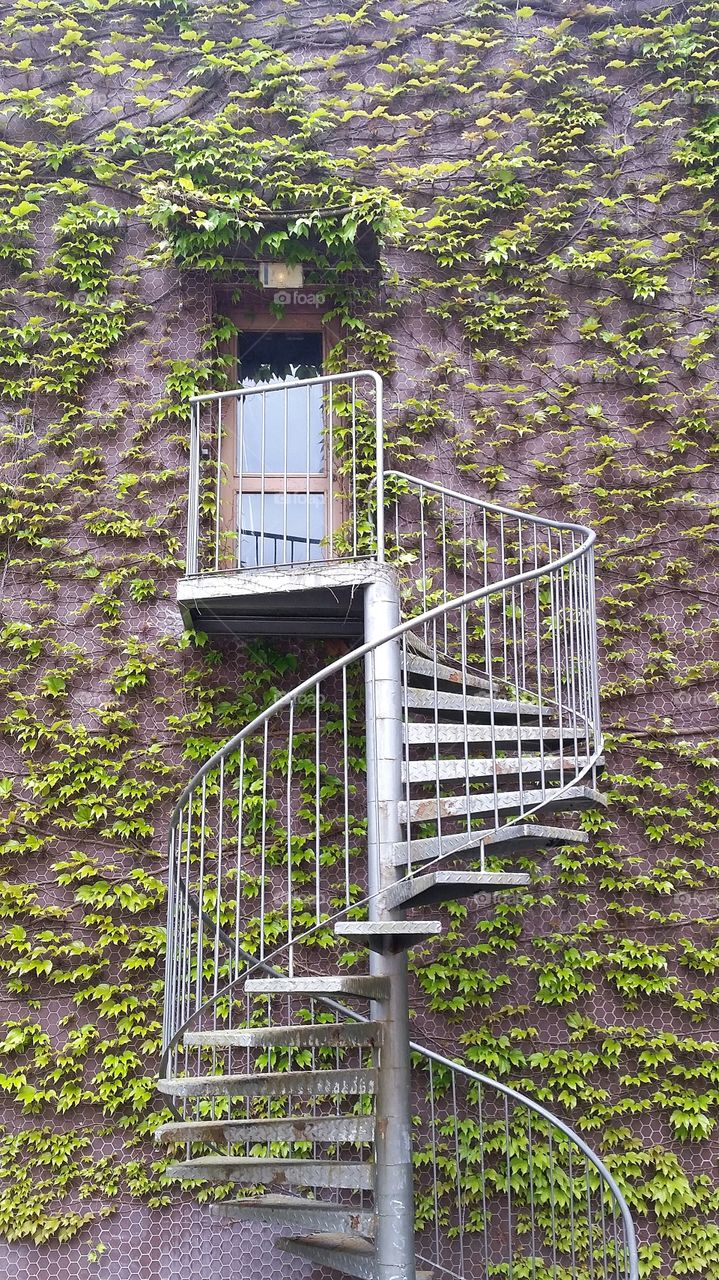 stairs to a high door