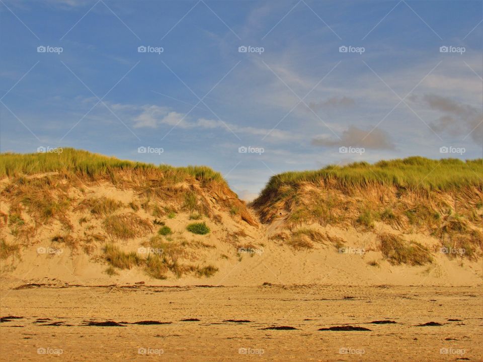 On the beach