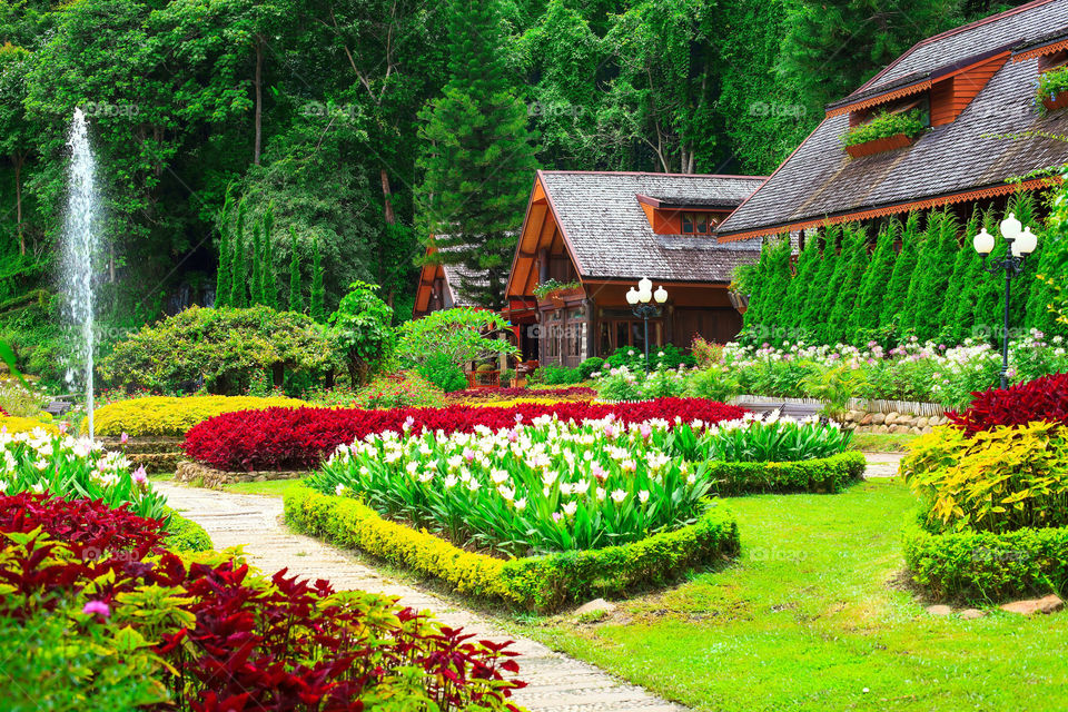 Beautiful Flower Garden