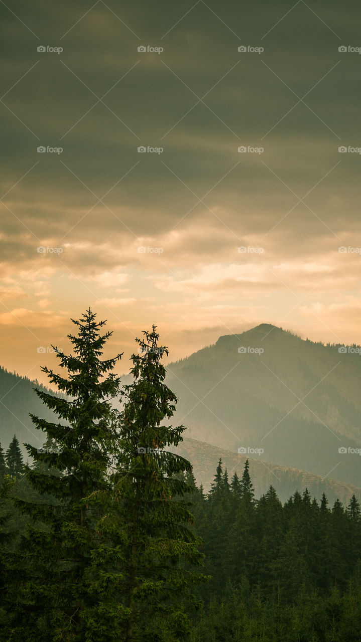 An inspiring mountain landscape. Tatry mountains in Slovakia. A beautiful wallpaper for smartphone screen. Warm summer haze, abstract gradient with perspective.