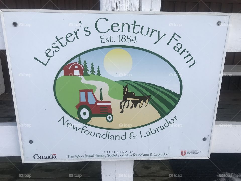 A photo of the oldest farm that still exists in the capital city of St. John’s, Newfoundland in Atlantic Canada. This farm was established in 1854, and has acquired many other former farmer’s land via lease agreements and or purchases. NL pride 