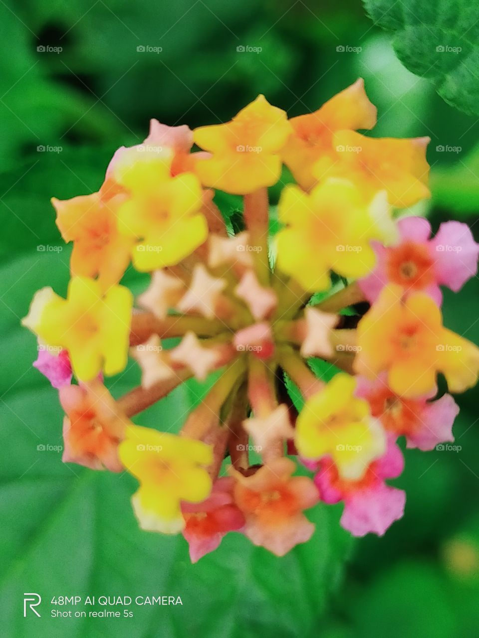 I ll see this and I click ❣️❤🧡