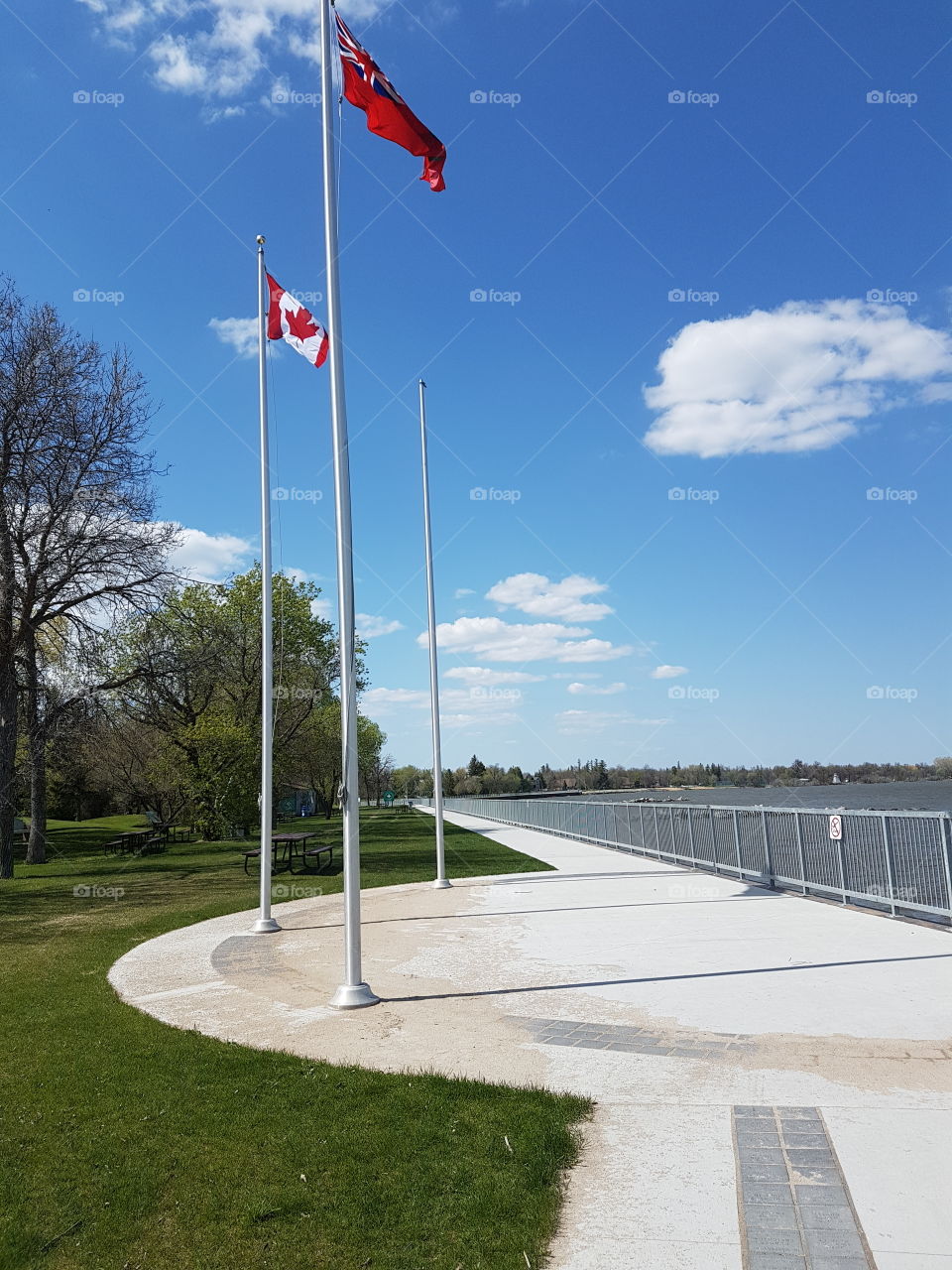 Flags blowing in the wind