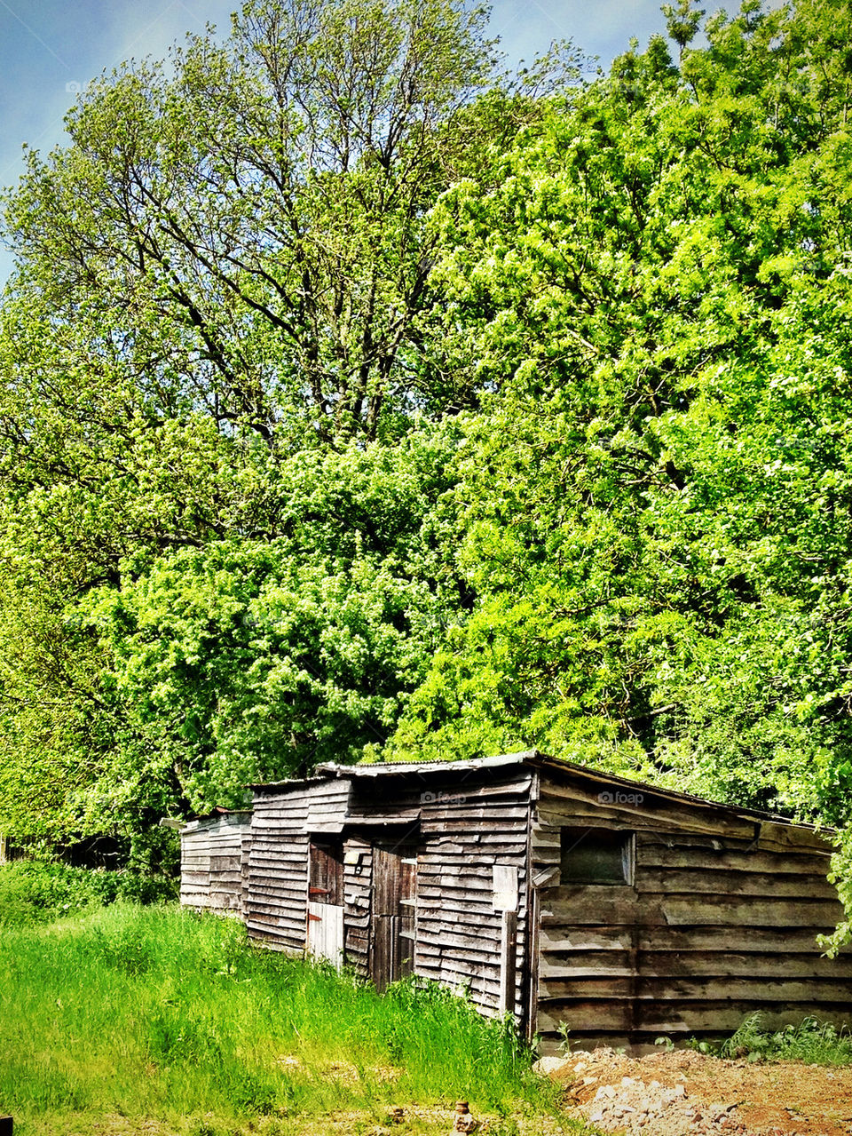 SHED IN FIELD