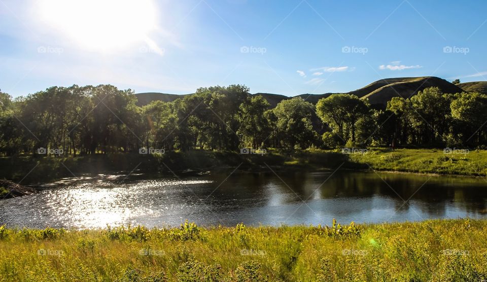 Summer in the coulees 