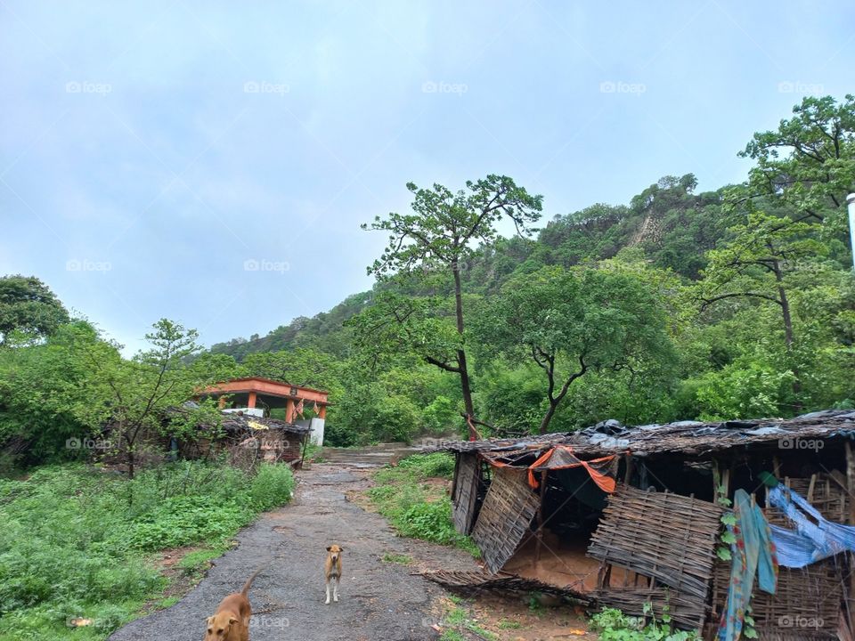 Life is full of beauty. Notice it. Notice the bumble bee, the small child, and the smiling faces. Smell the rain, and feel the wind. Live your life to the fullest potential, and fight for your dreams.