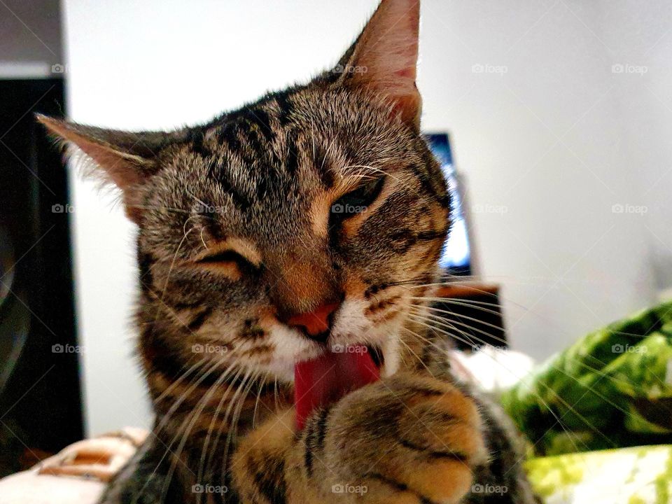 Muffy Kiki Maya, my princes