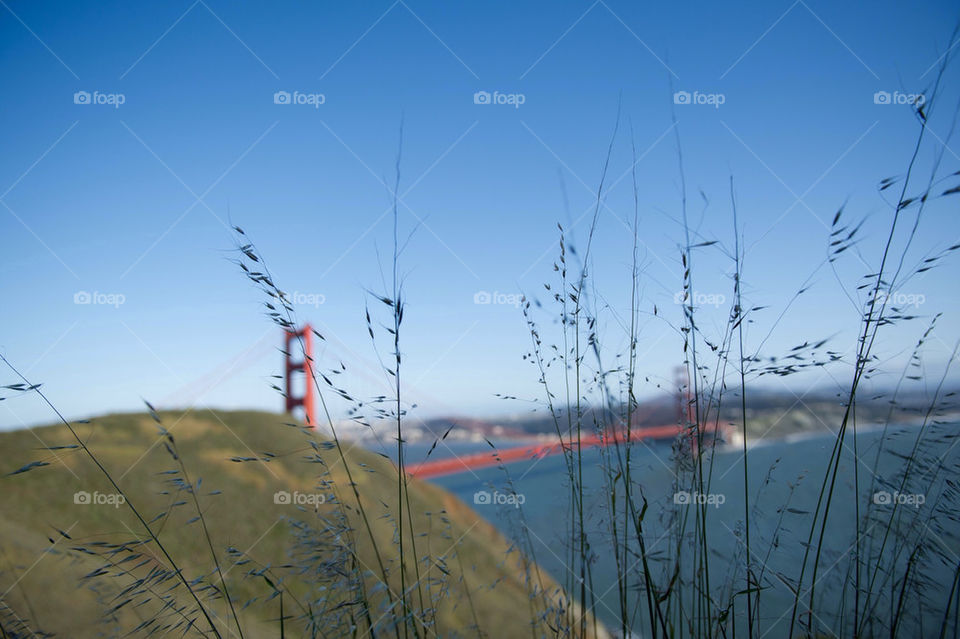 View of Golden Gate Bridge